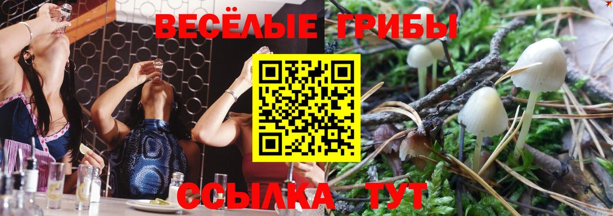где продают   Псилоцибиновые грибы прущие грибы  Вход с VPN  Псилоцибиновые грибы прущие грибы  Джанкой 